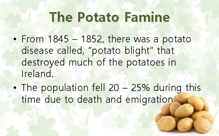 The Potato Famine • From 1845 – 1852, there was a potato disease called,