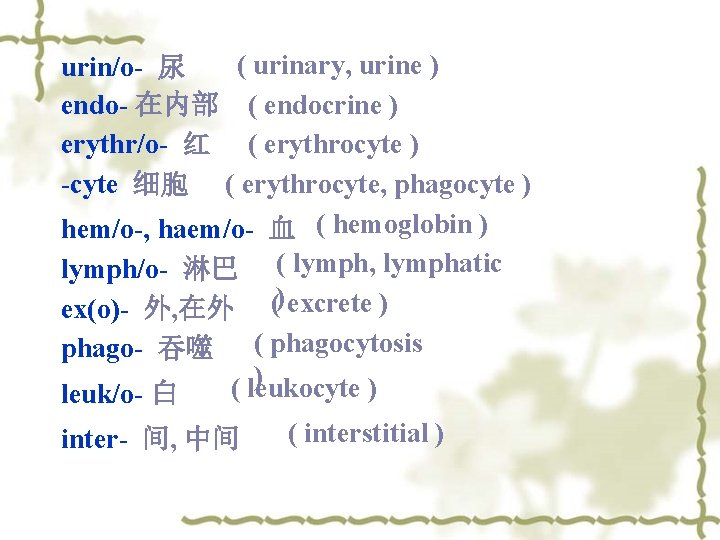 ( urinary, urine ) urin/o- 尿 endo- 在内部 ( endocrine ) erythr/o- 红 (