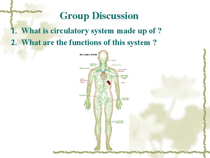 Group Discussion 1. What is circulatory system made up of ? 2. What are