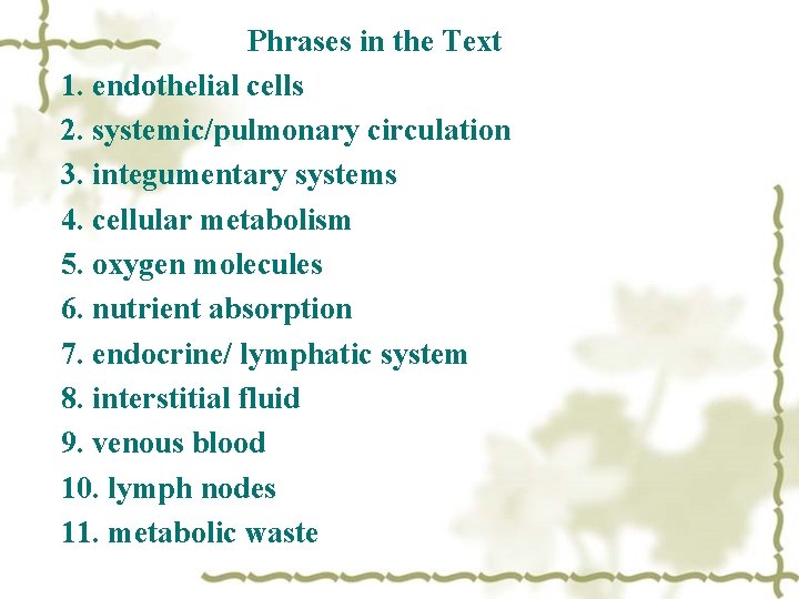 Phrases in the Text 1. endothelial cells 2. systemic/pulmonary circulation 3. integumentary systems 4.