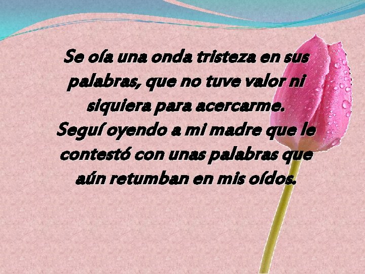 Se oía una onda tristeza en sus palabras, que no tuve valor ni siquiera