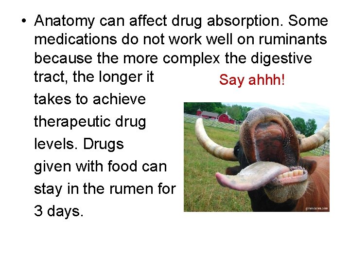  • Anatomy can affect drug absorption. Some medications do not work well on