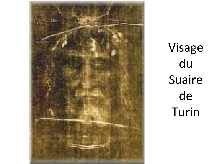 Visage du Suaire de Turin 