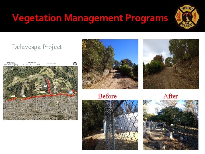 Vegetation Management Programs Delaveaga Project Before After Vegetation Management Programs Delaveaga Project Before After