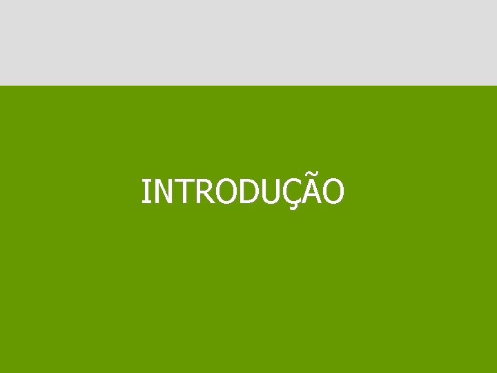 INTRODUÇÃO 