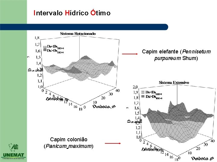 Intervalo Hídrico Ótimo Capim elefante (Pennisetum purpureum Shum) Capim colonião (Panicum maximum) 