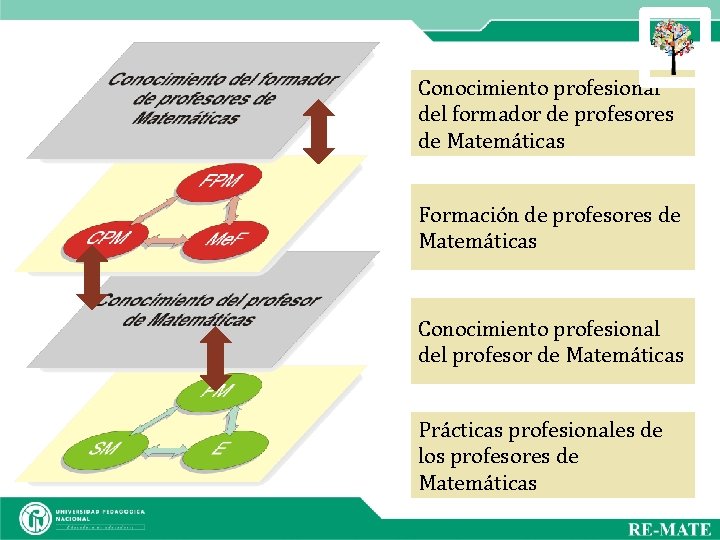 Conocimiento profesional del formador de profesores de Matemáticas Formación de profesores de Matemáticas Conocimiento