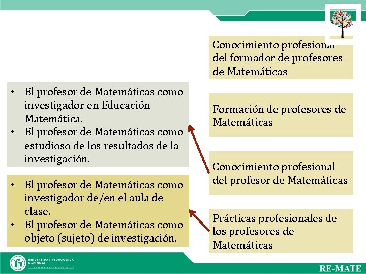 Conocimiento profesional del formador de profesores de Matemáticas • El profesor de Matemáticas como