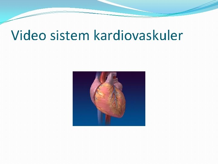 Video sistem kardiovaskuler 