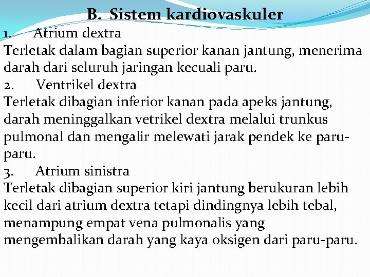 B. Sistem kardiovaskuler 1. Atrium dextra Terletak dalam bagian superior kanan jantung, menerima darah
