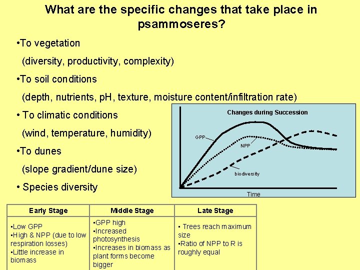 What are the specific changes that take place in psammoseres? • To vegetation (diversity,