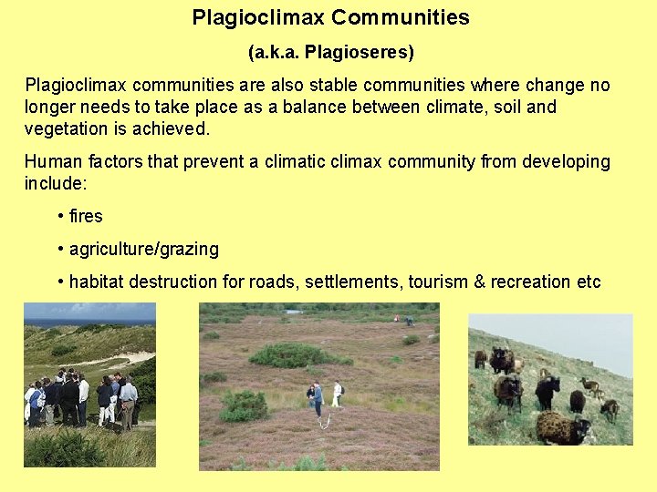Plagioclimax Communities (a. k. a. Plagioseres) Plagioclimax communities are also stable communities where change