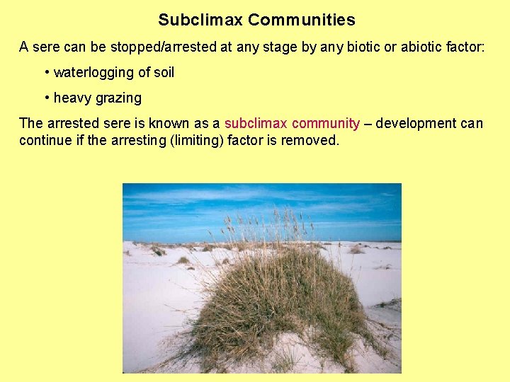 Subclimax Communities A sere can be stopped/arrested at any stage by any biotic or