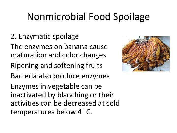 Food Microbiolog Fall 2018 LECTURE PRINCIPLES OF FOOD