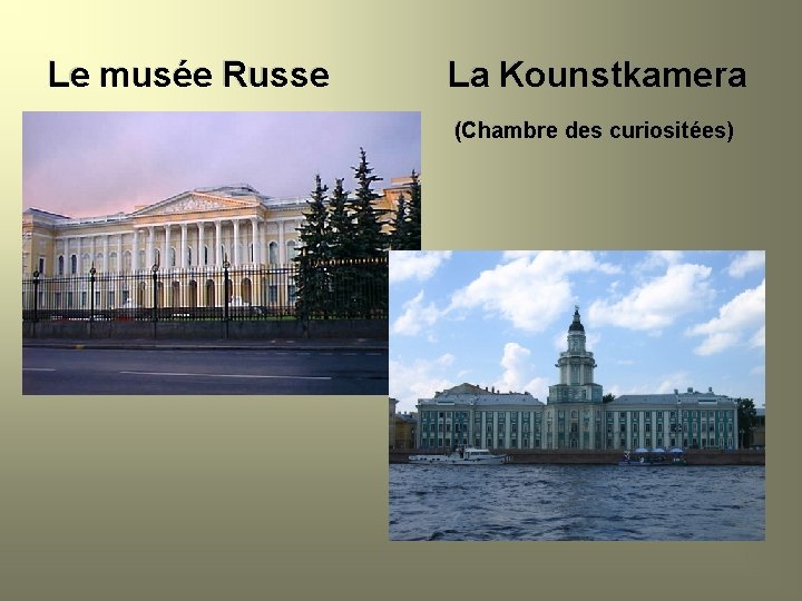 Le musée Russe La Kounstkamera (Chambre des curiositées) 