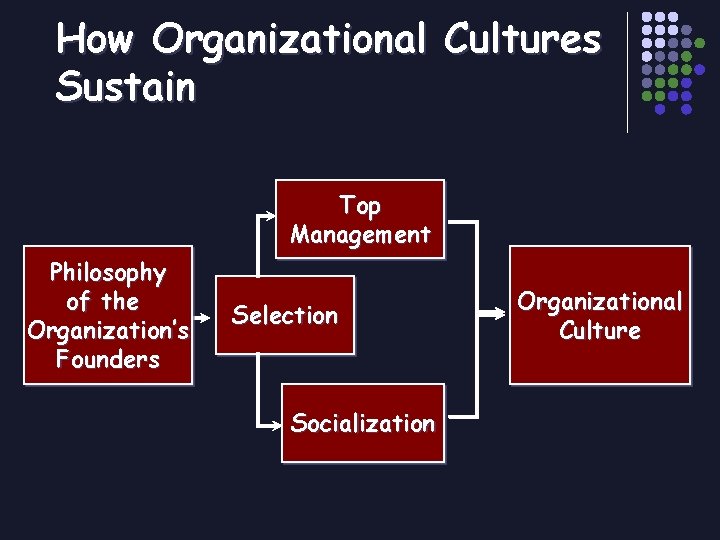 How Organizational Cultures Sustain Top Management Philosophy of the Organization’s Founders Selection Socialization Organizational