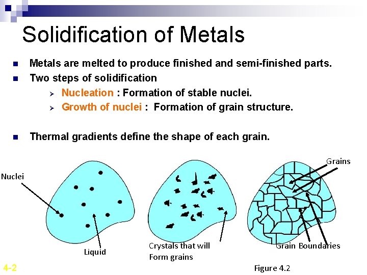 Solidification of Metals n n n Metals are melted to produce finished and semi-finished