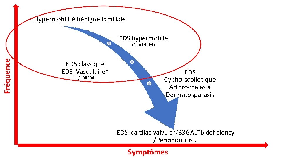 Hypermobilité bénigne familiale EDS hypermobile Fréquence (1 -5/10000) EDS classique EDS Vasculaire* (1/100000) EDS