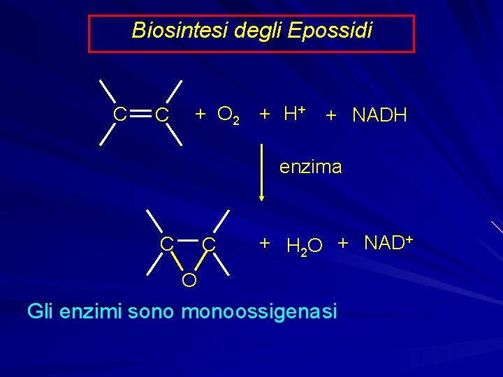 Biosintesi degli Epossidi C C + O 2 + H+ + NADH enzima C