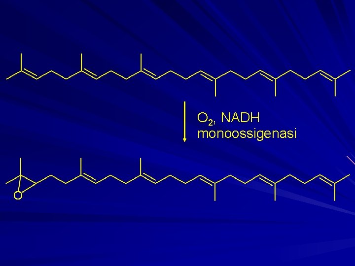 O 2, NADH monoossigenasi O 