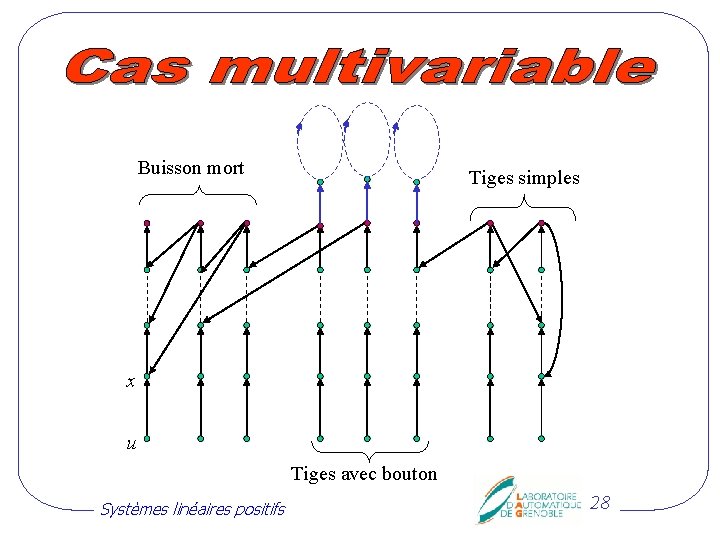 Buisson mort Tiges simples x u Tiges avec bouton Systèmes linéaires positifs 28 