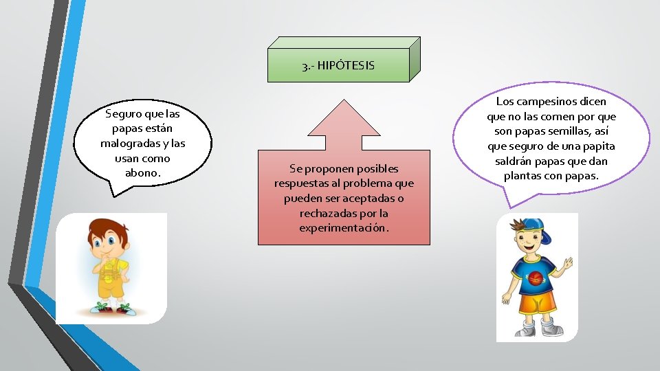 3. - HIPÓTESIS Seguro que las papas están malogradas y las usan como abono. 3. - HIPÓTESIS Seguro que las papas están malogradas y las usan como abono.