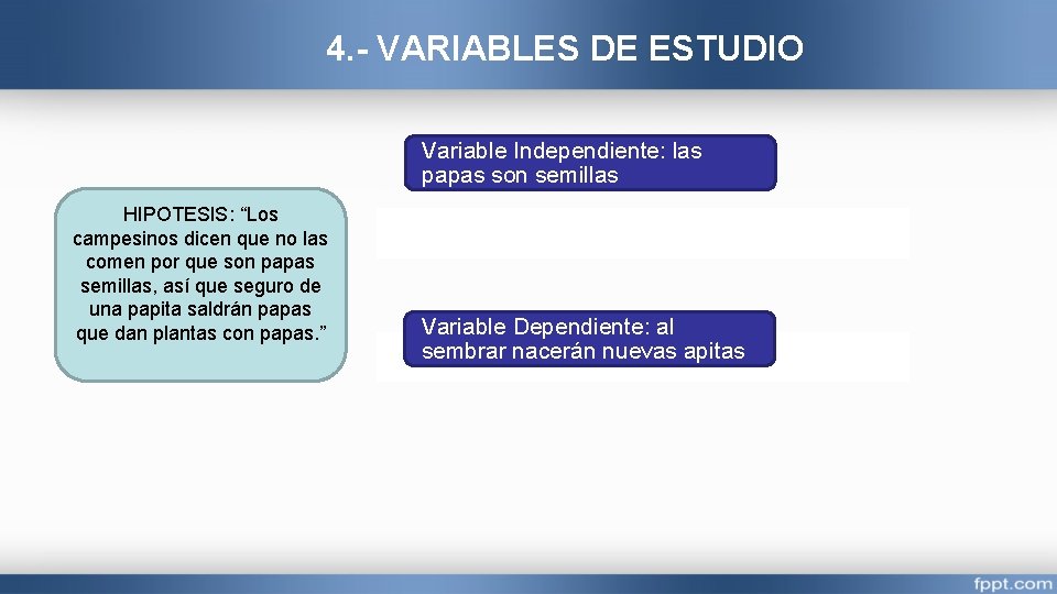 4. - VARIABLES DE ESTUDIO Variable Independiente: las papas son semillas HIPOTESIS: “Los campesinos 4. - VARIABLES DE ESTUDIO Variable Independiente: las papas son semillas HIPOTESIS: “Los campesinos