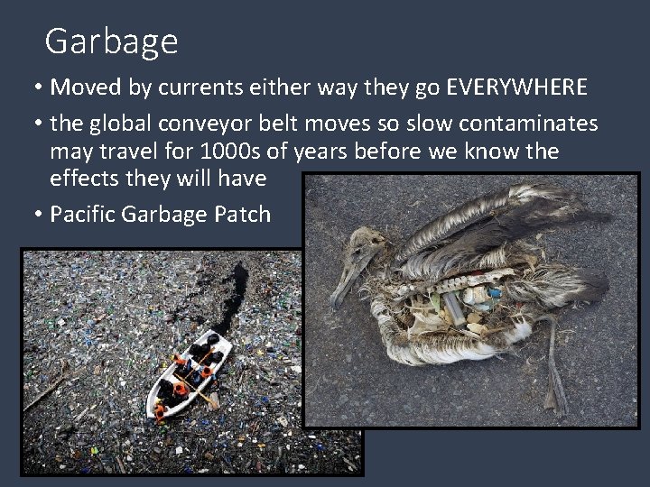 Garbage • Moved by currents either way they go EVERYWHERE • the global conveyor