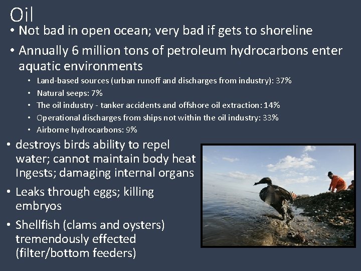 Oil • Not bad in open ocean; very bad if gets to shoreline •