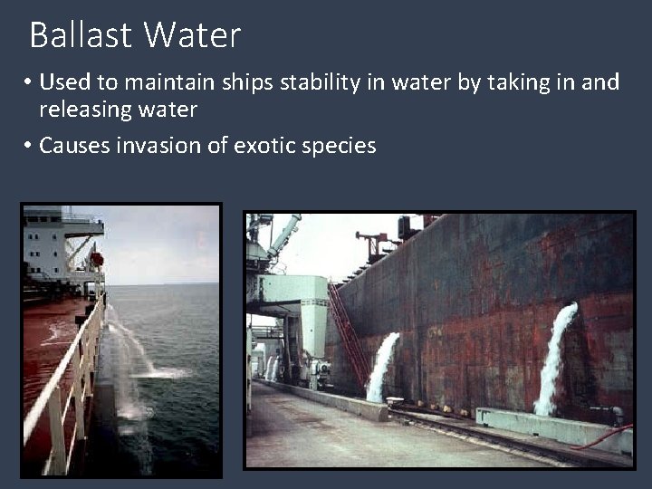 Ballast Water • Used to maintain ships stability in water by taking in and