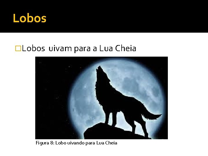 Lobos �Lobos uivam para a Lua Cheia Figura 8: Lobo uivando para Lua Cheia