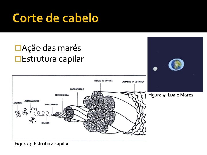 Corte de cabelo �Ação das marés �Estrutura capilar Figura 4: Lua e Marés Figura