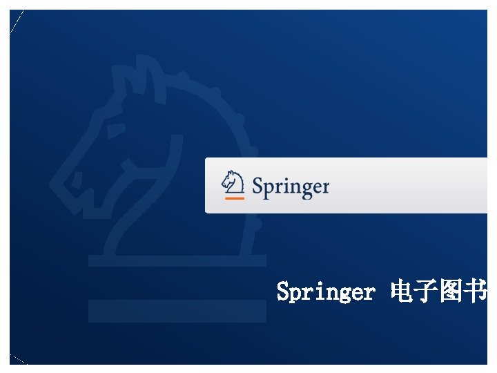  Springer 电子图书 