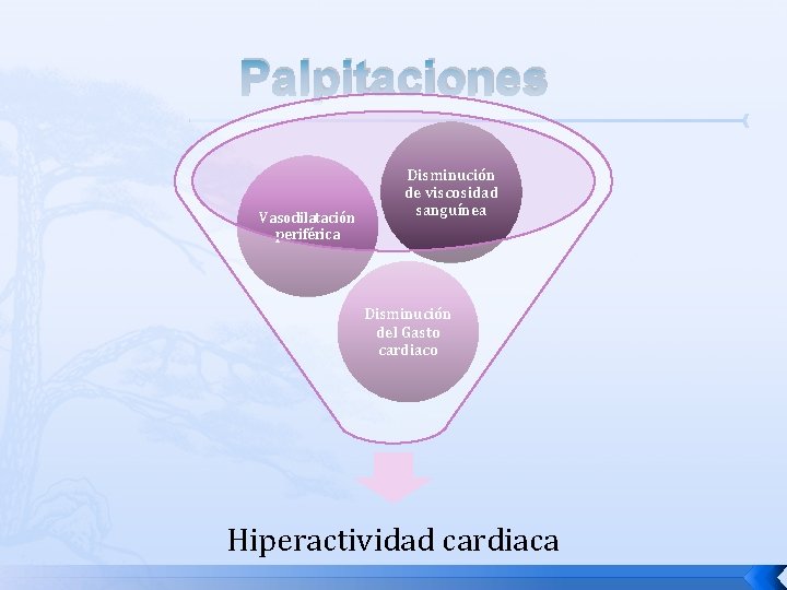 Palpitaciones Vasodilatación periférica Disminución de viscosidad sanguínea Disminución del Gasto cardiaco Hiperactividad cardiaca 