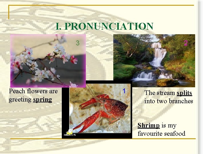 I. PRONUNCIATION 3 Peach flowers are greeting spring 2 1 The stream splits into