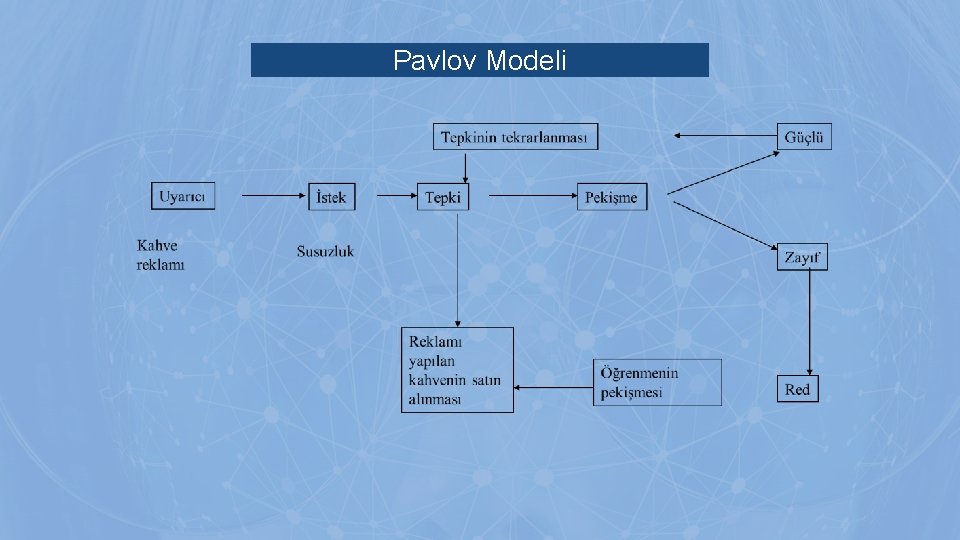 Pavlov Modeli Pavlov Modeli