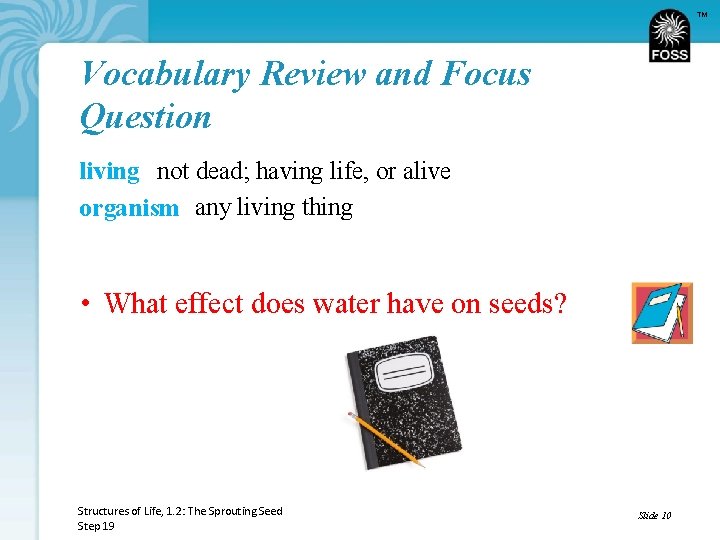 TM Vocabulary Review and Focus Question living not dead; having life, or alive organism