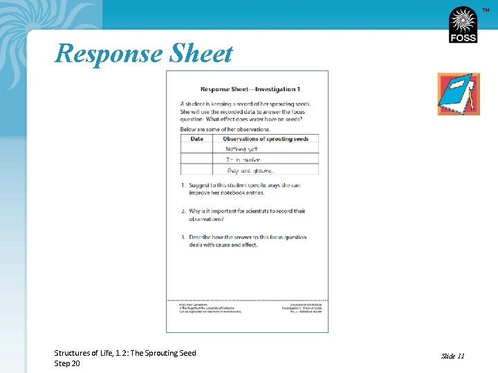 TM Response Sheet Structures of Life, 1. 2: The Sprouting Seed Step 20 Slide