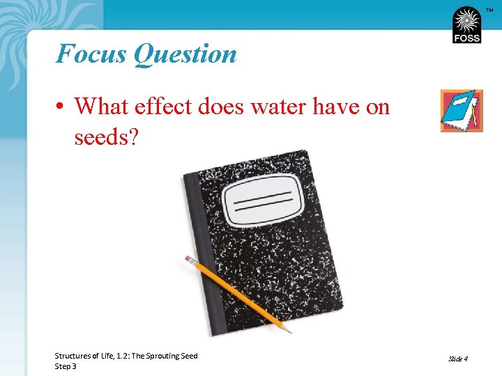 TM Focus Question • What effect does water have on seeds? Structures of Life,