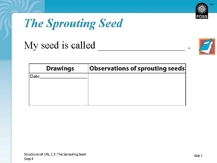 TM The Sprouting Seed My seed is called _________. Structures of Life, 1. 2: