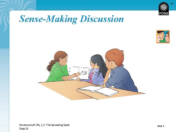 TM Sense-Making Discussion Structures of Life, 1. 2: The Sprouting Seed Step 18 Slide