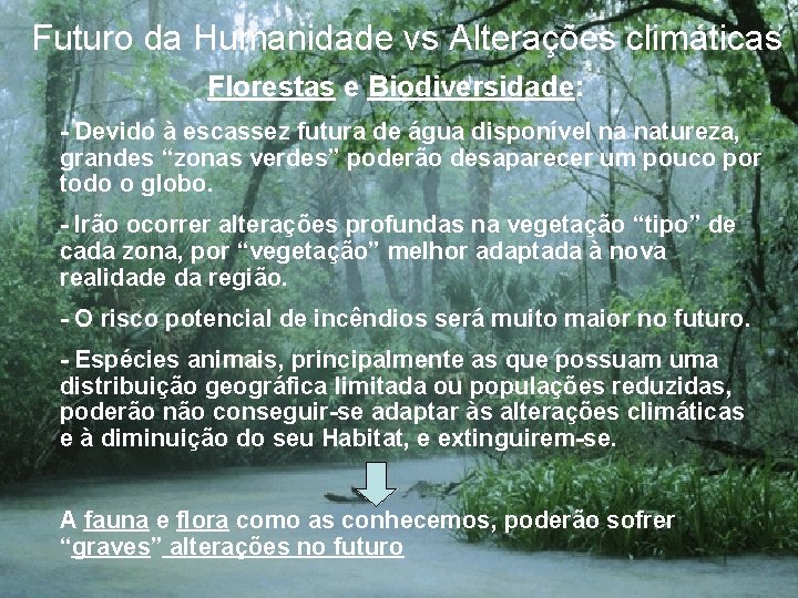 Futuro da Humanidade vs Alterações climáticas Florestas e Biodiversidade: - Devido à escassez futura