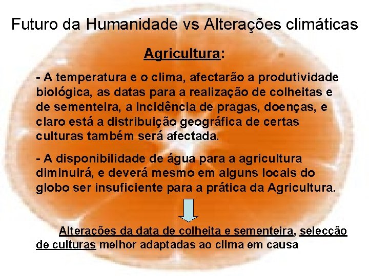 Futuro da Humanidade vs Alterações climáticas Agricultura: - A temperatura e o clima, afectarão