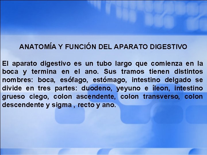 ANATOMÍA Y FUNCIÓN DEL APARATO DIGESTIVO El aparato digestivo es un tubo largo que
