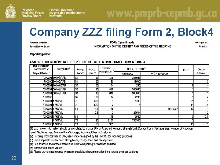 Company ZZZ filing Form 2, Block 4 20 