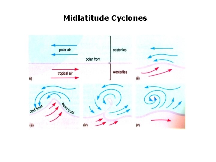 Midlatitude Cyclones 