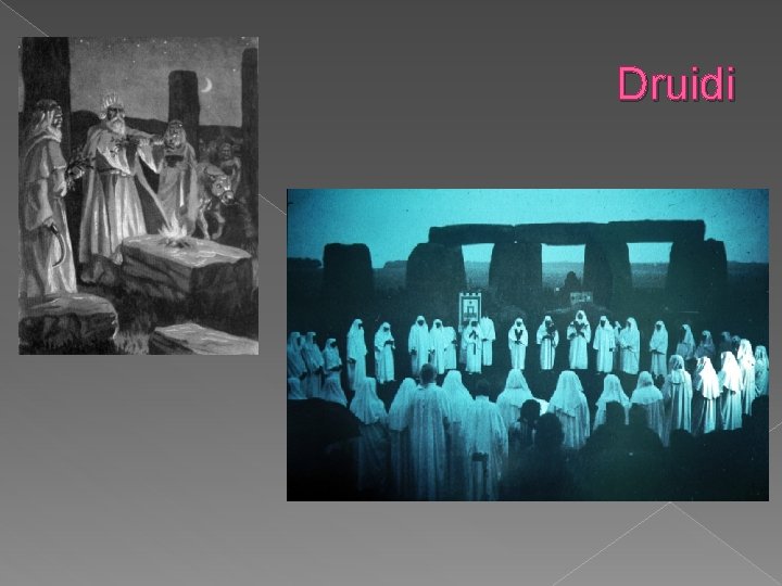 Druidi 