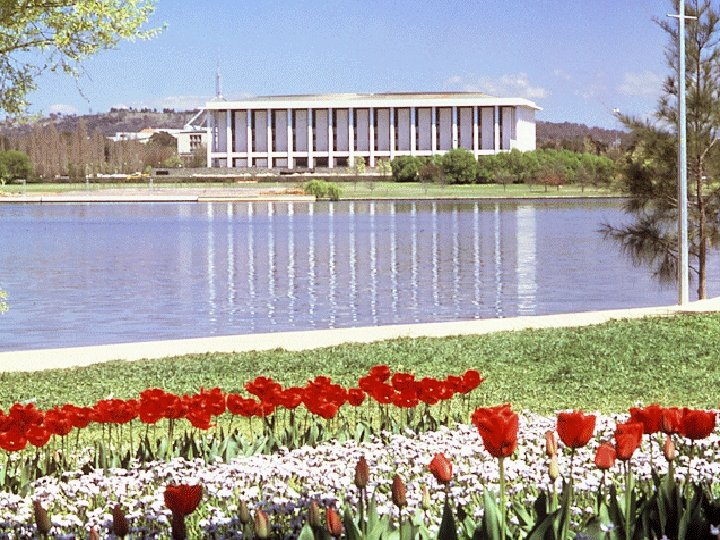 Asian Collections Reading Room National Library of Australia