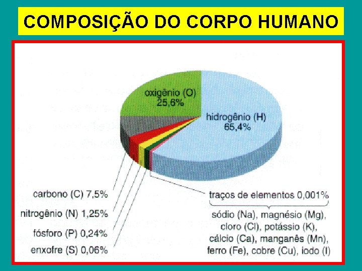 COMPOSIÇÃO DO CORPO HUMANO 