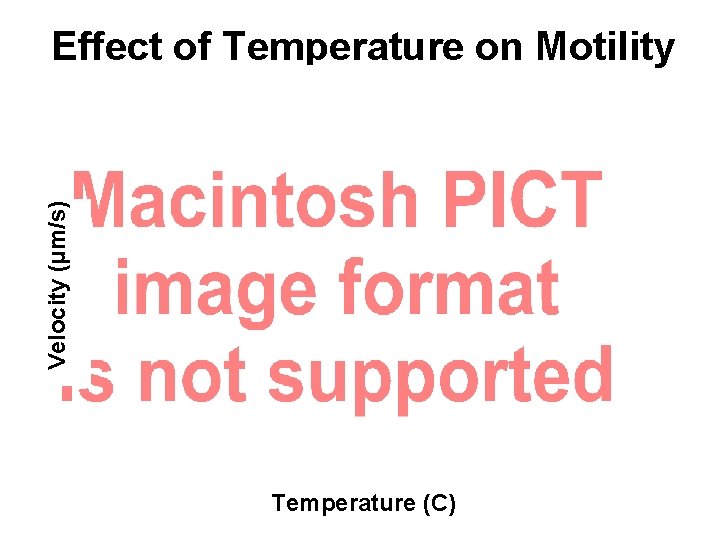 Velocity (µm/s) Effect of Temperature on Motility Temperature (C) Velocity (µm/s) Effect of Temperature on Motility Temperature (C)
